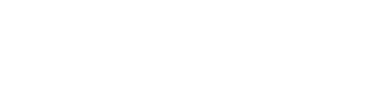 VENIVICHI® Official Site